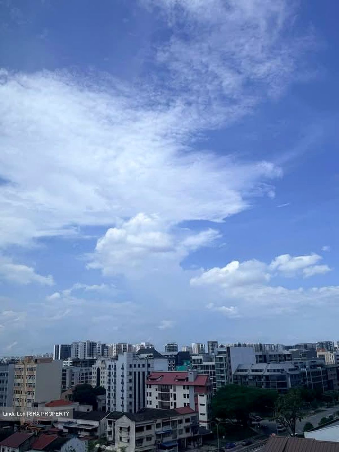 Arena Residences (D14), Apartment #596545181